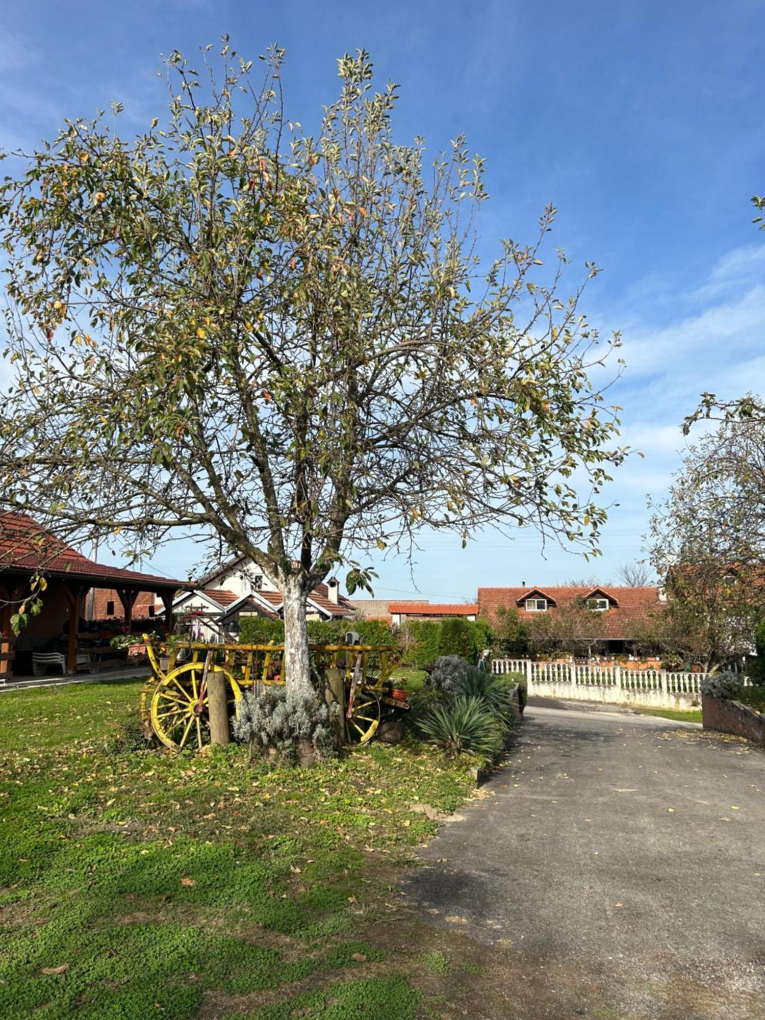 B&B Lukac Kutina Buitenkant foto